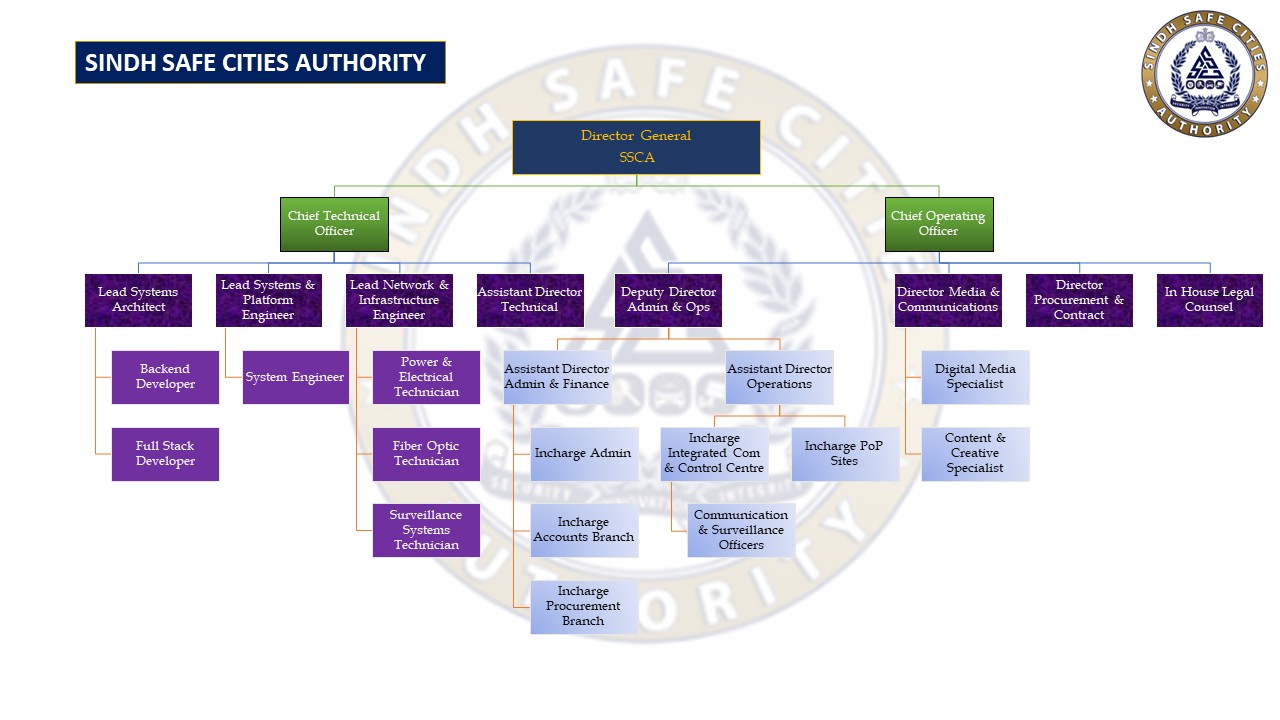 Organogram SSCA